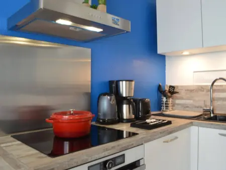 Appartement 2 pièces rénové, 4 couchages, vue mer, WiFi, parking, Banyuls-sur-Mer - Photo 3