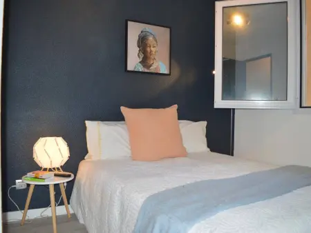 Appartement 2 pièces rénové, 4 couchages, vue mer, WiFi, parking, Banyuls-sur-Mer - Photo 8