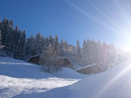 T3 cosy avec cheminée, pour 4-5 pers., skis aux pieds, terrasse sud/ouest, calme à Arêches-Beaufort - Photo 10