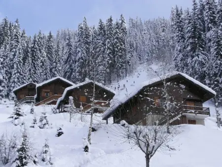 T3 cosy avec cheminée, pour 4-5 pers., skis aux pieds, terrasse sud/ouest, calme à Arêches-Beaufort - Photo 14
