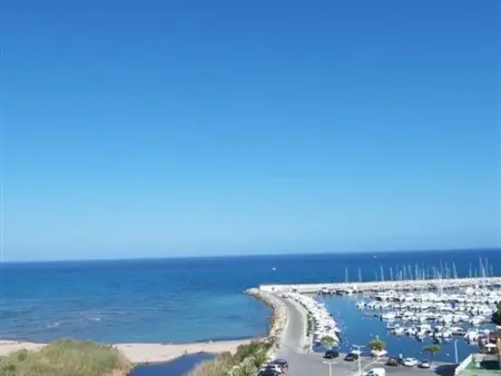 Studio avec Piscine, Proche Plage à Sari-Solenzara - Photo 11