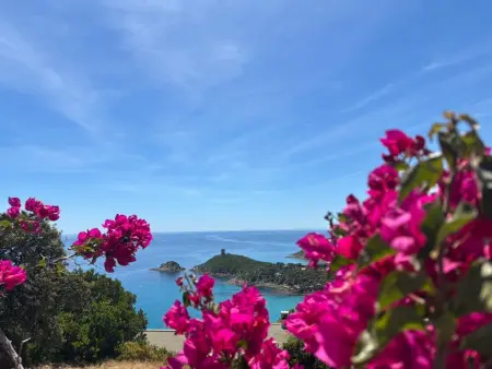 Appartement F4 avec piscine en résidence près de Porto-Vecchio - Photo 16