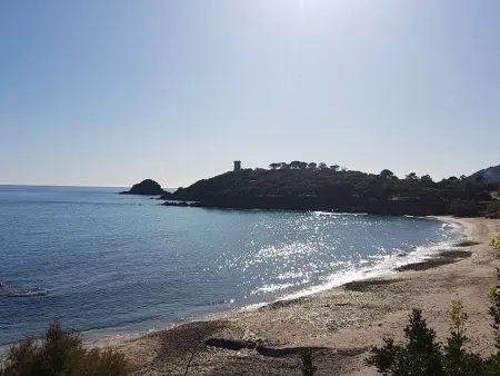 Appartement F4 avec piscine en résidence près de Porto-Vecchio - Photo 18