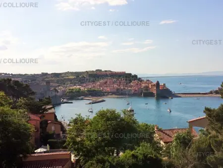 Appartement F2 à Collioure avec piscine, parking et vue sur mer - Photo 10