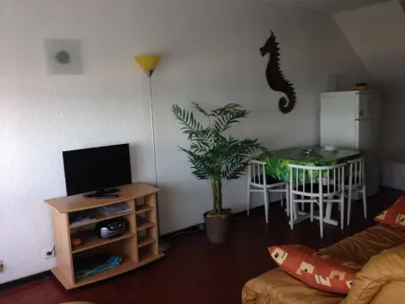 Grand T2 avec terrasse, 4 pers, proche plage, Appartement 4 personnes à Le Barcarès - Photo 2