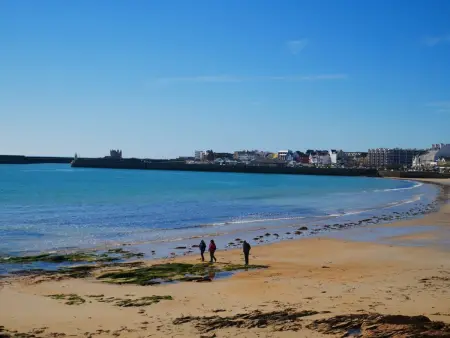 Studio 29m² pour 4 pers, centre Quiberon, proche plage - Photo 8