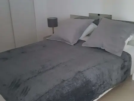 Villeneuve-Loubet : Appartement avec Terrasse, Climatisation et Garage - Photo 9