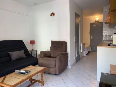 Charmant T1 avec Terrasse, Véranda et Climatisation à Balaruc-les-Bains, Exposé Sud, 2 Étoiles - Photo 8
