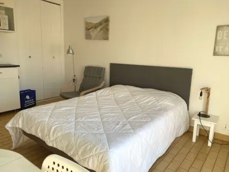 Studio rénové climatisé avec balcon, parking et wifi à Balaruc-les-Bains - Photo 6