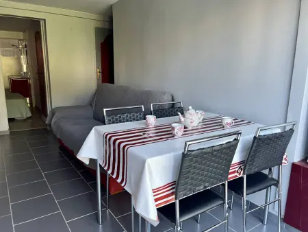 Cambo-les-Bains : T1 Bis rénové avec terrasse, Wi-Fi, pour 2 personnes - Photo 7