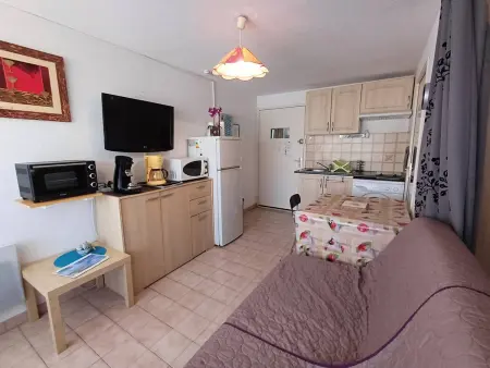 T1 agréable avec parking privé, proche étang de Thau, climatisé, cuisine équipée, loggia, Balaruc-les-Bains - Photo 1