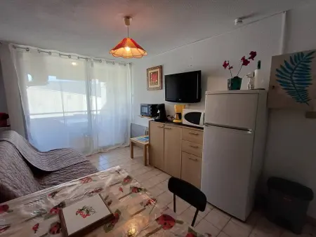 T1 agréable avec parking privé, proche étang de Thau, climatisé, cuisine équipée, loggia, Balaruc-les-Bains - Photo 2