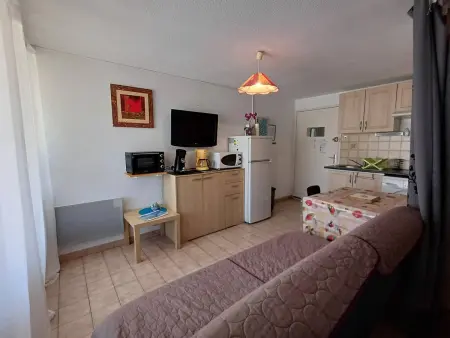 T1 agréable avec parking privé, proche étang de Thau, climatisé, cuisine équipée, loggia, Balaruc-les-Bains - Photo 8