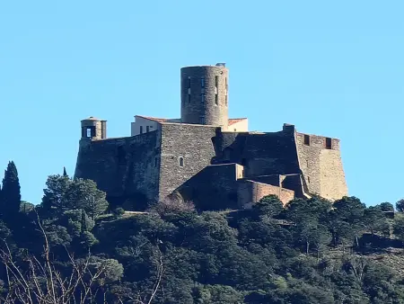 Appartement T3 calme avec terrasse et cuisine équipée, à 300m de la plage de Collioure - Photo 21