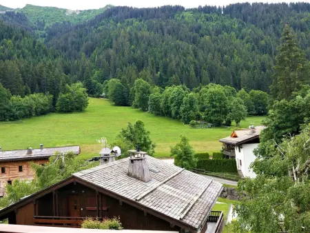 Spacieux appart rénové avec balcon sud, proche pistes et bus à La Clusaz - Photo 11