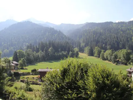 Spacieux appart rénové avec balcon sud, proche pistes et bus à La Clusaz - Photo 13