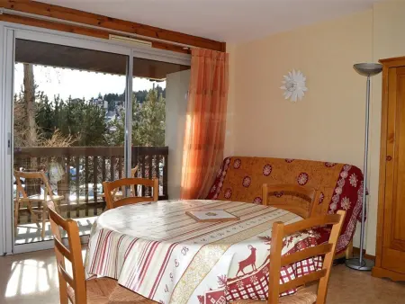 Appartement 2 pièces 6 pers, proche pistes, terrasse, animaux acceptés - Photo 4