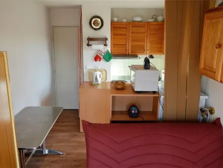 Studio Cabine Cosy Proche des Pistes - Sud-Ouest, Équipé pour 3 Pers., Animaux Acceptés - Photo 7
