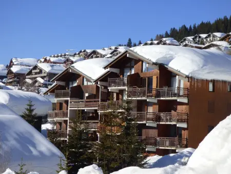 Studio cabine Les Saisies 4 pers, proche pistes, Appartement 4 personnes à Les Saisies - Photo 11