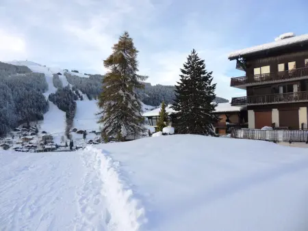Appartement skis aux pieds, rénové, 2 ch., Les Gets - Photo 11