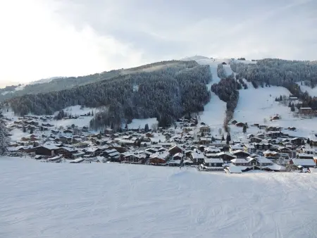 Appartement skis aux pieds, rénové, 2 ch., Les Gets - Photo 13