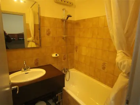 Studio cosy à Luchon - Balcon, garage privé, animaux admis, télécabine à proximité - Photo 9