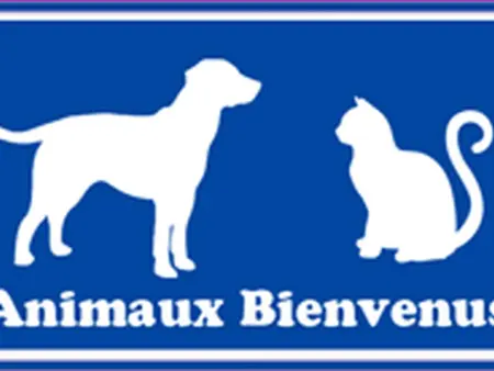 T2 Front de Mer avec Animaux admis, Parking, Proche Commerces - Photo 18