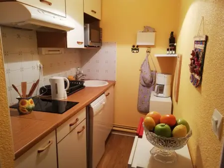Appartement 2 pièces cabine avec balcon, parking, animaux admis, Wi-Fi - Photo 1
