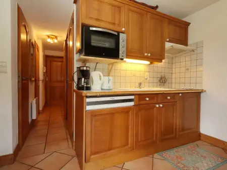 Appartement 2 pièces cabine, piscine, animaux admis, proche télécabines - Photo 2