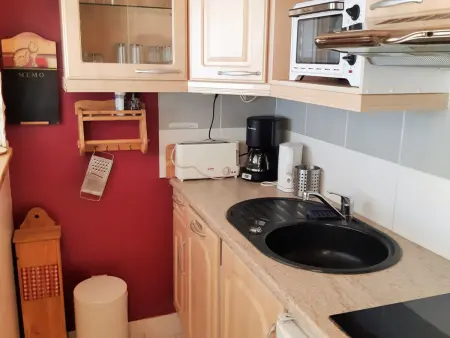 Studio calme aux Deux Alpes, accès pistes, animaux admis - Photo 2