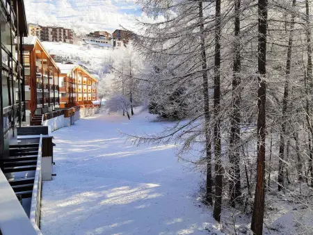 Studio calme aux Deux Alpes, accès pistes, animaux admis - Photo 9