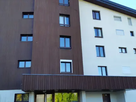 Studio calme aux Deux Alpes, accès pistes, animaux admis - Photo 12