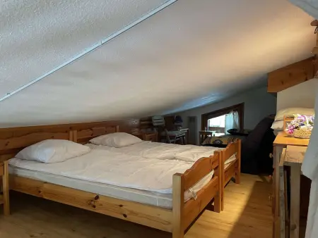 Appartement 2 pièces à Praz-sur-Arly - 5 personnes, proche des pistes, animaux acceptés, parking - Photo 8