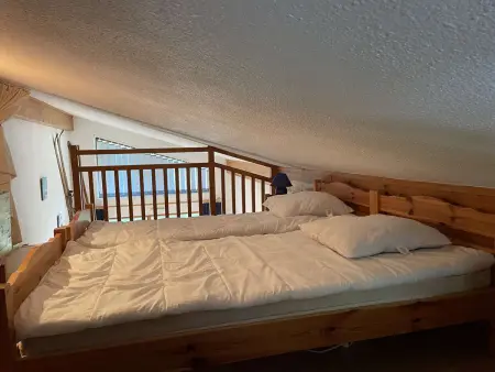 Appartement 2 pièces à Praz-sur-Arly - 5 personnes, proche des pistes, animaux acceptés, parking - Photo 9