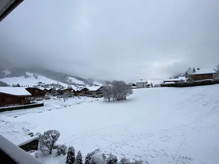 Spacieux 3 pièces à Praz-sur-Arly, balcon sud-ouest, garage, proche centre et remontées mécaniques - Photo 22