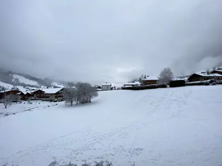 Spacieux 3 pièces à Praz-sur-Arly, balcon sud-ouest, garage, proche centre et remontées mécaniques - Photo 23