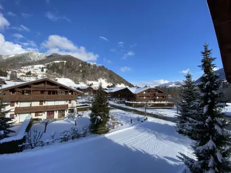 Studio cabine à Praz-sur-Arly - 4 pers, animaux, parking - Photo 4
