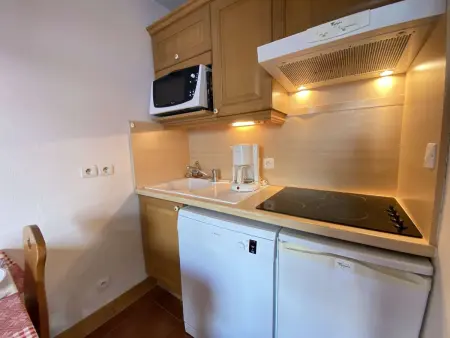 Studio cabine à Praz-sur-Arly - 4 pers, animaux, parking - Photo 12