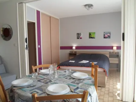 Appartement 2★ Animaux admis, Climatisé, 10 min des Thermes - Photo 6