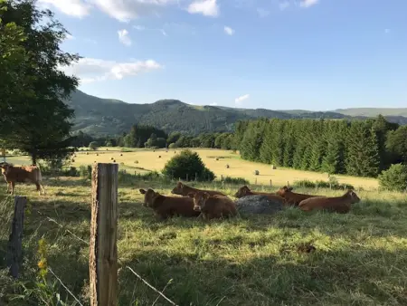 Mont-Dore: Beau T3 bis hyper centre avec wifi, Appartement 7 personnes à Mont Dore - Photo 10