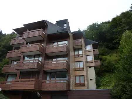 Duplex au Mont-Dore avec Wifi et Parking privatif - Photo 14