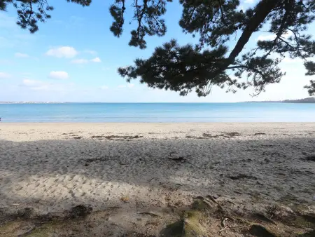 Fouesnant, Appartement avec piscine chauffée, plage à pied - Photo 19