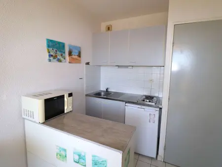 Studio cabine avec terrasse, à 550m de la plage et 100m des commerces, idéal 4 pers., animaux acceptés - Photo 4