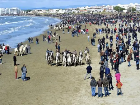 Studio cabine avec terrasse, à 550m de la plage et 100m des commerces, idéal 4 pers., animaux acceptés - Photo 16