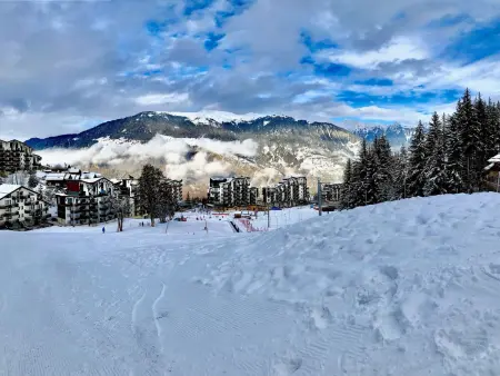 Appartement skis aux pieds avec parking à La Tania - Photo 4