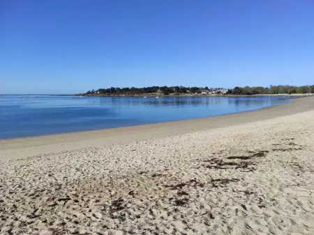 Bénodet : Superbe T2 rénové à 100m de la plage, parking inclus - Photo 15