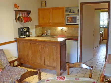 Appartement lumineux 2 pièces cabine, animaux admis, proche centre Samoëns - Photo 1