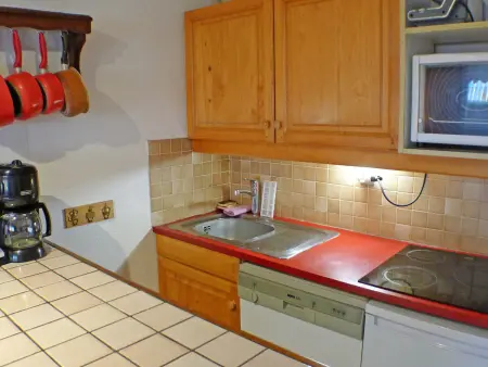 Appartement lumineux 2 pièces cabine, animaux admis, proche centre Samoëns - Photo 3