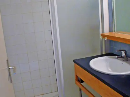Appartement lumineux 2 pièces cabine, animaux admis, proche centre Samoëns - Photo 4