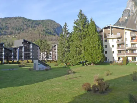 Appartement lumineux 2 pièces cabine, animaux admis, proche centre Samoëns - Photo 10